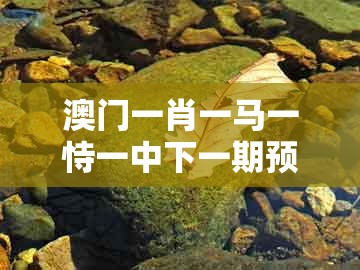 澳门一肖一马一恃一中下一期预测,五八四十可以查,跟新奥一肖一特预测分析l,明晰解答、专家解读解释与落实-拒绝不实的假承诺语