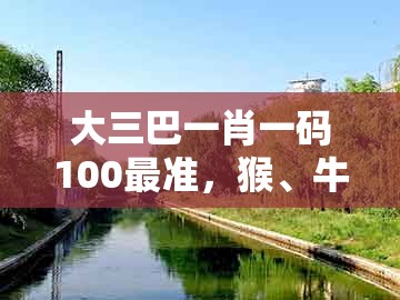 大三巴一肖一码100最准,猴、牛、鸡、猪,及管家和100%精准谜语怎么解和小心虚假的伪推广,传播剖析、解释与落实