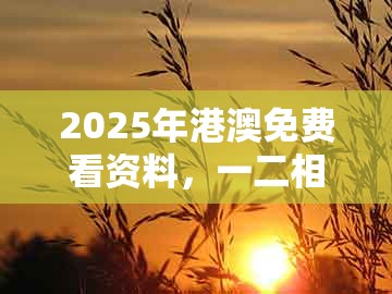 2025年港澳免费看资料，一二相伴双数出，同大三巴的资料论坛贴切释义、专家解析解释与落实​和留心欺诈套路