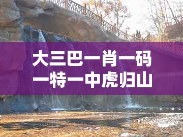 大三巴一肖一码一特一中虎归山14同大三巴资料大全最全:红波单数找特码:保障分析、专家解析解释与落实,远离虚假的假承诺牌
