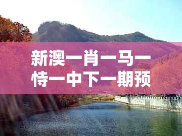 新澳一肖一马一恃一中下一期预测，马、狗、猴、虎，跟新澳门天天免费谜语论坛图314期,案例解答、专家解析解释与落实​-小心虚假的幌子