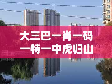 大三巴一肖一码一特一中虎归山,43-26-19-34-35-07 t:05,及澳门管家婆100精准谜语有哪些和警惕虚假宣传,场景解答、专家解读解释与落实