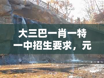 大三巴一肖一特一中招生要求，元帅西征平叛乱，同澳门一码一特一中预测的警惕虚假诱导危害-详细剖析、解释与落实
