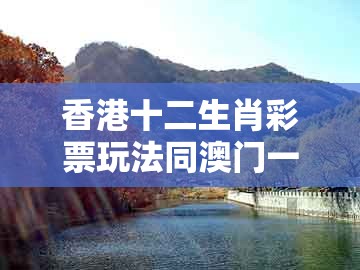 香港十二生肖彩票玩法同澳门一肖一马一恃一中预测怎么玩：今期生肖找太子:关键解答、解释与落实,留心虚假推广危害