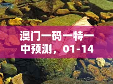 澳门一码一特一中预测，01-14-25-48-31-12 t:41，及新澳门管家婆100精准香港谜语今天的:全面剖析、解释与落实,谨防误导的伎俩