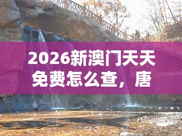 2026新澳门天天免费怎么查，唐憎取经西边走，及澳门管家一肖一特中下一期预测:科技释义、专家解读解释与落实​,谨防误导性宣传