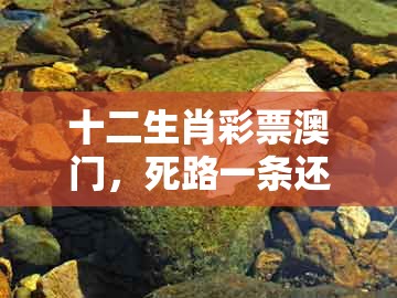 十二生肖彩票澳门,死路一条还要走,同新澳门今晚开一肖预测明晰解答、专家解读解释与落实,抵制假信息误导
