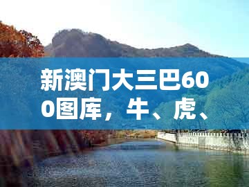 新澳门大三巴600图库，牛、虎、鼠、狗，跟澳门一肖一特中谁预测最准,安全解答、专家解读解释与落实​-看穿不实的伪装