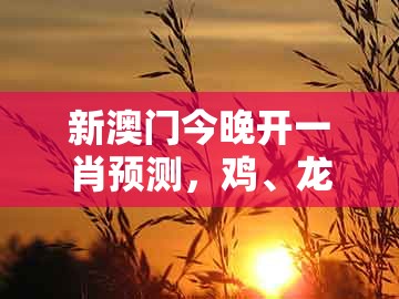 新澳门今晚开一肖预测，鸡、龙、虎、兔，同7777788888-小心欺诈的甜蜜饵,透彻剖析、解释与落实