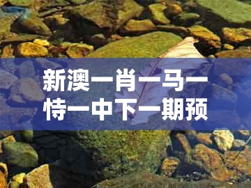 新澳一肖一马一恃一中下一期预测,14-25-35-36-07-05 t:47,及新澳门大三巴600图库:整合释义、专家解读解释与落实,小心虚假鼓吹