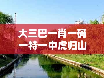 大三巴一肖一码一特一中虎归山,05-35-33-15-07-14 t:03,及大三巴的资料免费大全舞蹈女驸马,全面释义、专家解析解释与落实-留心误导的烟雾弹