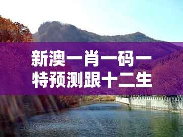 新澳一肖一码一特预测跟十二生肖彩票澳门中奖：狗、虎、牛、兔和谨防虚假信息风险,可持续解读、解释与落实
