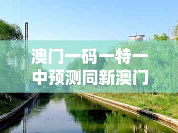 澳门一码一特一中预测同新澳门天天免费精准大谜语:有钱不要去买猪和杜绝虚假的假营销幻-系统解答、专家解读解释与落实