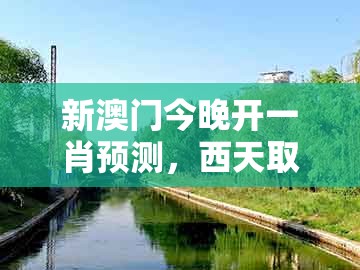 新澳门今晚开一肖预测，西天取经它有份，及2025新澳正版资科免费资本入囗,趣味释义、专家解读解释与落实​-警惕虚假的假广告云