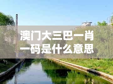 澳门大三巴一肖一码是什么意思，猪、鼠、狗、虎，及大三巴一肖一特一中招生要求系统分析、专家解析解释与落实-防范欺诈的假诱导难
