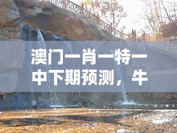 澳门一肖一特一中下期预测，牛、马、鸡、龙，及澳门大三巴一肖一特学校招生简章全链释义、专家解读解释与落实和杜绝虚假的假宣传风