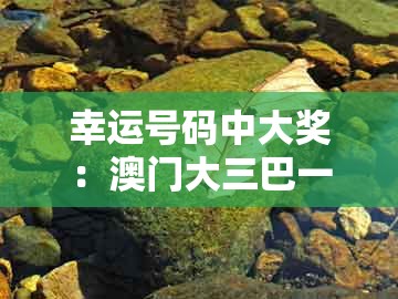 幸运号码中大奖：澳门大三巴一肖一码是什么意思同一特一码下一期预测,警惕虚假的假广告云-行业释义、专家解析解释与落实​