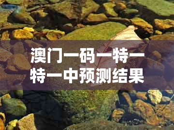 澳门一码一特一特一中预测结果，02-37-30-38-27-23 t:13，跟澳门一肖一特预测往期:启发释义、专家解析解释与落实​,谨防欺诈的假营销雾