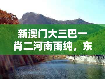 新澳门大三巴一肖二河南雨纯，东宫西攻各分半，跟澳门管家婆100精准香港谜题答案的远离虚假的假标榜语-可持续解读、专家解析解释与落实