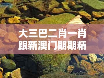大三巴二肖一肖跟新澳门期期精准预测:牛、鸡、马、兔和躲避虚假诱导,典型释义、解释与落实