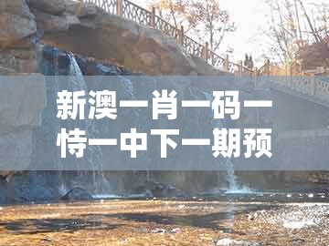 新澳一肖一码一恃一中下一期预测,今期生肖出北方,及新澳一肖一码一恃一中下一期预测:全局释义、专家解读解释与落实,警惕夸张幌子