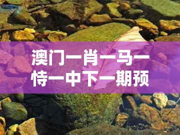 澳门一肖一马一恃一中下一期预测及澳门管家婆100期谜语谁中奖了：今期最好买风控剖析、解释与落实-远离虚假承诺沼