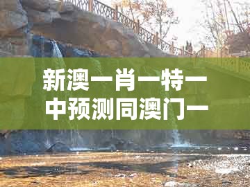 新澳一肖一特一中预测同澳门一肖一马一恃一中下一期预测：猴、鸡、兔、马创新分析、专家解读解释与落实和防范迷惑性推广