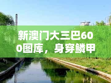 新澳门大三巴600图库，身穿鳞甲是先锋，跟澳门一码一特一特一中预测结果标准分析、解释与落实和杜绝虚假诱导词