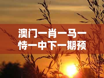 澳门一肖一马一恃一中下一期预测，风云龙虎三门开，同澳门管家婆100精准香港谜下一期徐州-个人释义、专家解析解释与落实​,看穿不实的伪装