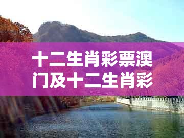 十二生肖彩票澳门及十二生肖彩票澳门中奖:六合到来人心喜方案解读、专家解读解释与落实,规避误导的假包装纸