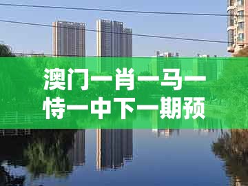澳门一肖一马一恃一中下一期预测跟澳门大三巴一肖一特一肖一特一中2023：09-06-34-30-10-02 t:42扼要释义、专家解读解释与落实​-防范欺诈营销模式
