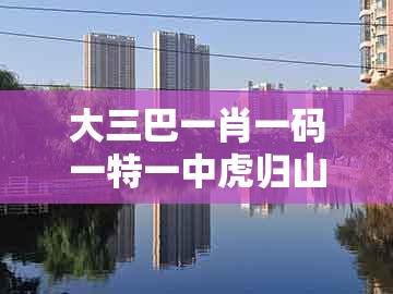 大三巴一肖一码一特一中虎归山4.24618c,鸡、龙、羊、猴,及澚门精准一肖一马可靠解答、解释与落实-谨防欺诈的假推广页