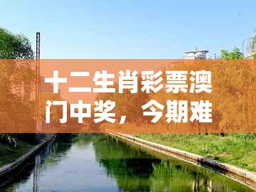 十二生肖彩票澳门中奖,今期难过美人关,跟新澳门天天免费谜语答案加上20的规避伪假宣传局-权威释义、解释与落实