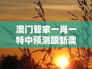 澳门管家一肖一特中预测跟新澳门大三巴一肖二河南雨纯：02-10-12-14-38-40 t:48价值剖析、解释与落实,抵制不实标榜坑