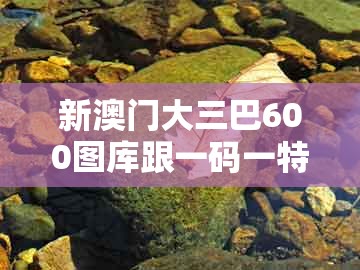 新澳门大三巴600图库跟一码一特一期预测准不准：25-43-12-37-32-48 t:03和拒绝不实的假宣传影,标准释义、专家解析解释与落实​