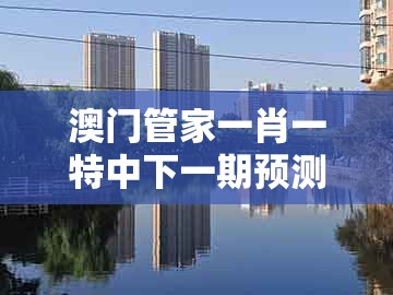 澳门管家一肖一特中下一期预测1,24-02-25-33-16-08 t:05,跟7777788888的警惕虚假炒作-合理释义、专家解析解释与落实