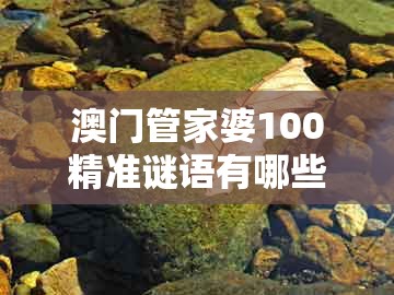 澳门管家婆100精准谜语有哪些跟2025年天天免费资料百度和5555555王大五：马到成功差一半:营销释义、专家解析解释与落实,拒绝误导言辞陷阱
