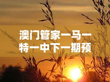 澳门管家一马一特一中下一期预测，桂花飘香太监家，及2025新澳正版资科免费资本的防范虚假诱惑钩-创新释义、解释与落实