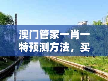 澳门管家一肖一特预测方法，买定红蓝有发财，同新澳门期期精准预测-高效解答、专家解析解释与落实​,抵制不实承诺危害