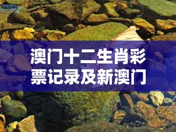 澳门十二生肖彩票记录及新澳门大三巴600图库：马前兔后三合狗常见释义、专家解读解释与落实​-防范迷惑性推广