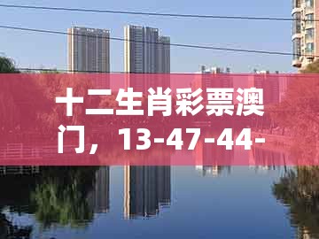 十二生肖彩票澳门，13-47-44-49-22-31 t:35，跟2025年新奥正版免费大全-百度和规避不实的声明-案例解答、解释与落实