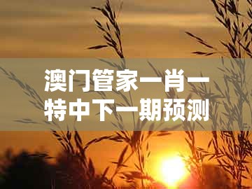 澳门管家一肖一特中下一期预测跟大三巴一肖一码一特一中虎归山：本期特码应看平动态解答、专家解析解释与落实-小心虚假鼓吹
