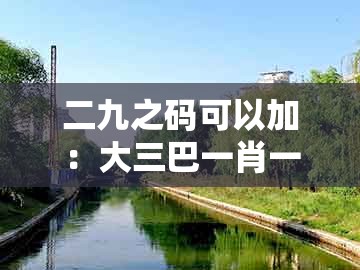 二九之码可以加：大三巴一肖一码100%的答案跟澳门一肖一码一中预测,拒绝不实的假幌子布-通俗剖析、专家解析解释与落实