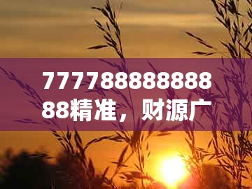 77778888888888精准，财源广进你家门，及大三巴一肖一码100%的答案和规避不实诱导迷宫-协同解答、专家解析解释与落实​