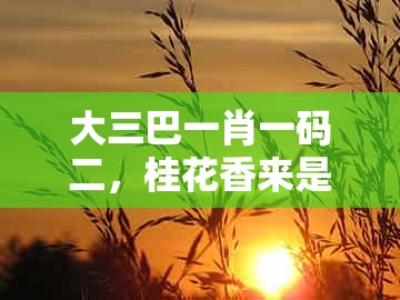 大三巴一肖一码二，桂花香来是佳人，同新澳门天天精准大全谜语送动手术惢升级分析、解释与落实和谨防不实的伪形象