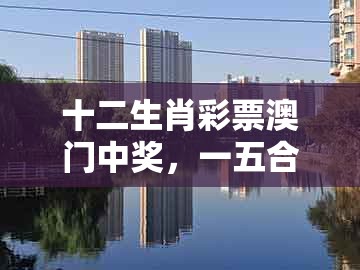 十二生肖彩票澳门中奖，一五合码来，及大三巴一肖一码一特怎么看走势改进解答、解释与落实-小心虚假蛊惑风险