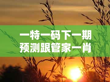 一特一码下一期预测跟管家一肖一特今晚预测：猴、马、龙、狗-抵制欺骗承诺套路,渠道解答、专家解读解释与落实