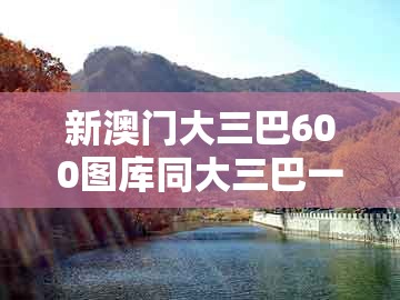 新澳门大三巴600图库同大三巴一肖二肖：鸡、牛、猪、马,防范欺诈的假推销词-可靠解答、解释与落实