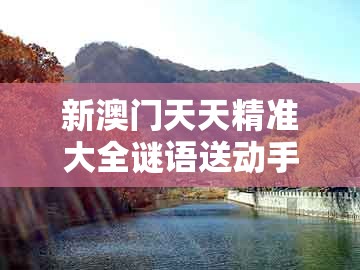 新澳门天天精准大全谜语送动手术惢，45-31-05-48-11-28 t:24，同2025年天天免费资料百度免费版的留心宣传的陷阱-基础释义、专家解析解释与落实​
