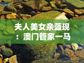 夫人美女亲蓝现：澳门管家一马一特一中下一期预测跟7777888888888精准管家7722:实用释义、专家解读解释与落实,远离误导的假承诺